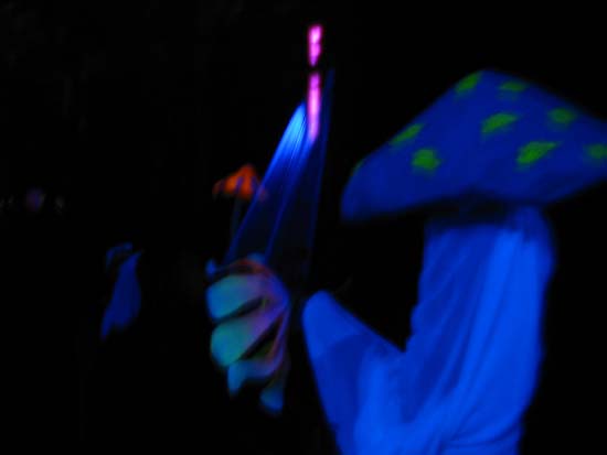 113-1301_IMG
